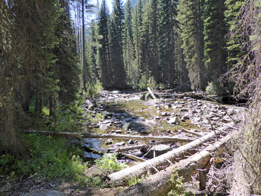 Lostine River at French Camp