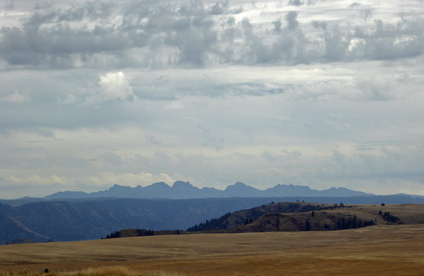 Horned Lark Trail view eastward