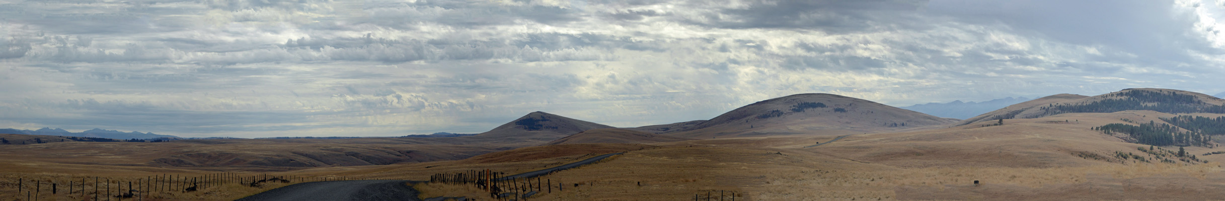 Horned Lark Trail southward view