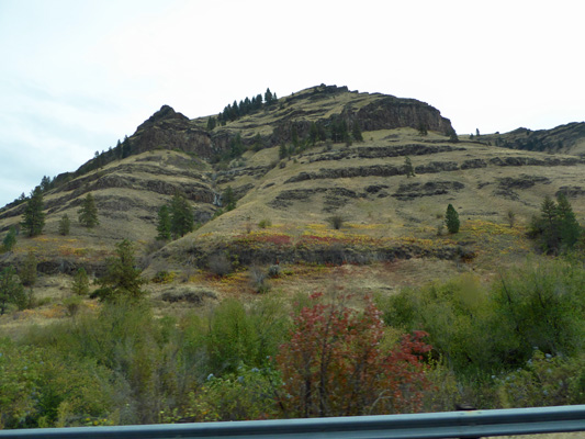 Fall color Road to Imnaha